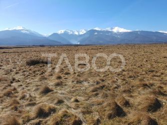 Teren extravilan in suprafata de 1000 mp pretabil pentru afacerea ta