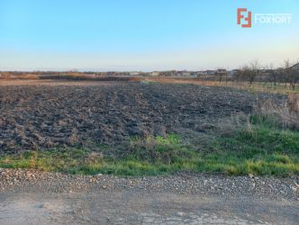 Teren extravilan industrial | 7.826 mp | 2 fronturi stradale | Ghiroda