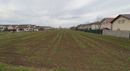 Teren Extravilan Padurea Craiului la intrarea in Com. Berceni | 3200mp