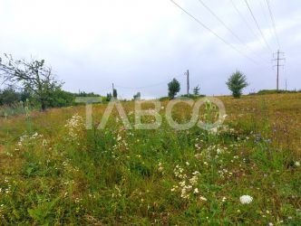 Teren frumos pentru cabana de relaxare 1000 mp intravilan Daia Noua
