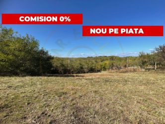 Teren generos Argeș Babana