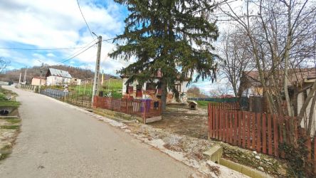 Teren generos cu casa veche si priveliste spre padure – Mioveni, zon