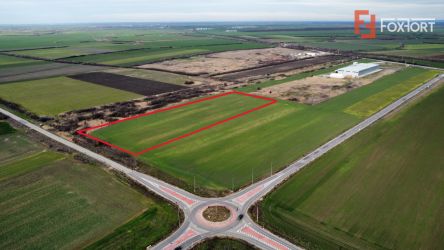 Teren industrial de vanzare de 25.000 mp, zona Deta