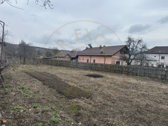 Teren intravilan 1 304 mp - Calinesti- Gorganu-Arges!