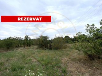 Teren intravilan 1.765 mp in Poiana Lacului, AG