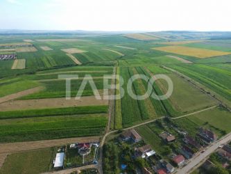 Teren intravilan 10.055mp PUZ aprobat 17 case individuale Sura Mica