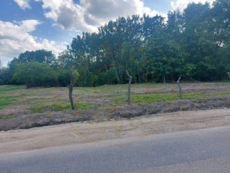 Teren intravilan 1843 mp - Cerbu/Albota/Arges - cu proiect de casa pe 