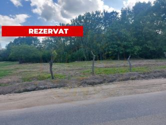 Teren intravilan 1843 mp - Cerbu/Albota/Arges - cu proiect de casa pe 