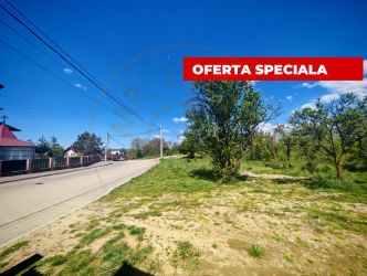 Teren intravilan 2.000 mp in Mioveni – Ideal pentru casa sau investi
