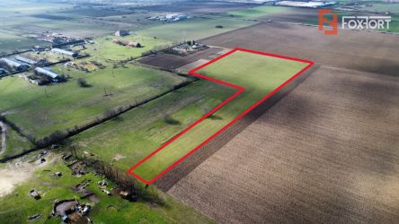 Teren intravilan 2 hectare in Padureni – oportunitate investitie sau