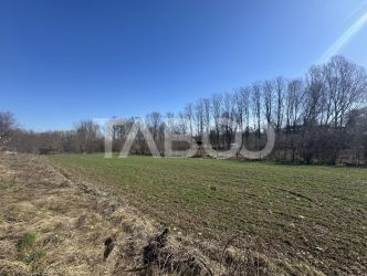 Teren intravilan 2000 mp cu utilitati in apropiere Comuna Dragus