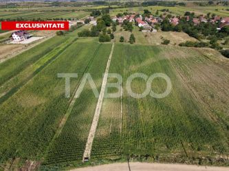 Teren intravilan 2000 mp si extravilan 1150 mp de vanzare in Vad