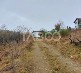 Teren intravilan 2938 mp  cu PUZ  front 127 m parcelabil Cisnadioara