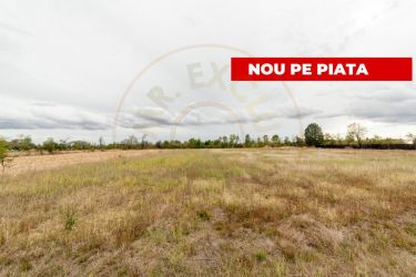 Teren intravilan 3000 mp, Oarja, Arges – amplasament excelent