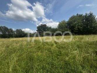 Teren intravilan 3100mp parcelat in 1000mp si 2100mp Cisnadie