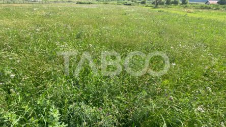 Teren intravilan 3450 mp Boita, 35 m deschidere, la 700 m de A1