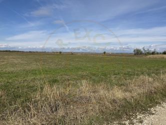 Teren intravilan 3700 mp la 28 km de Pitesti  - zona linistita