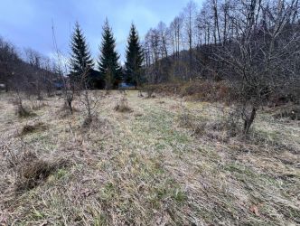 Teren intravilan 6.500 m²–Deschidere 144 ml drum european E81, km 3