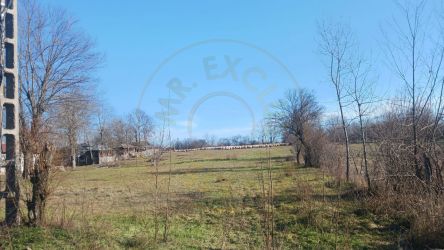 Teren intravilan 6500 euro - Gliganu de Sus - Rociu