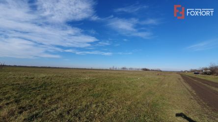 Teren intravilan 665 mp cu Puz aprobat - Padureni