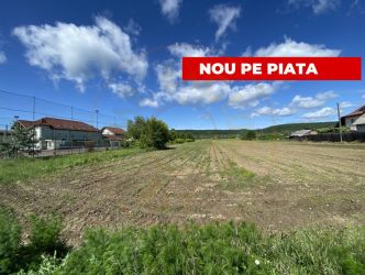 Teren intravilan 7.295 mp – Argeselu, Maracineni, AG