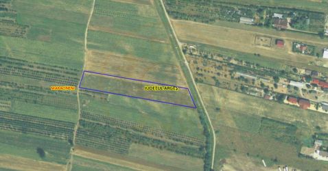 Teren intravilan 7.545 mp în Mărăcineni – ideal rezidențial sau 