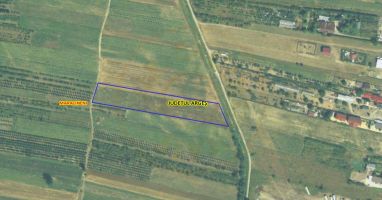 Teren intravilan 7.545 mp în Mărăcineni – ideal rezidențial sau 