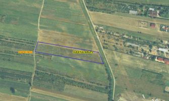 Teren intravilan 7.545 mp în Mărăcineni – ideal rezidențial sau 