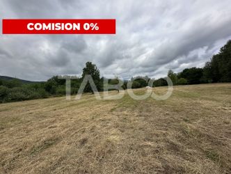 Teren intravilan 8000 mp cu anexa gospodareasca in Vistisoara