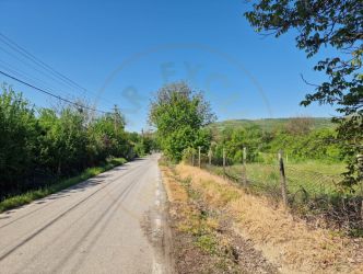 Teren intravilan  Calinesti