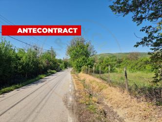 Teren intravilan  Calinesti