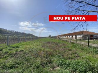 Teren intravilan cu grajduri si anexe – Aninoasa AG