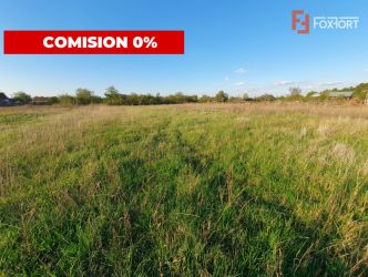 Teren intravilan de 3346 mp cu 2 fronturi - Jebel