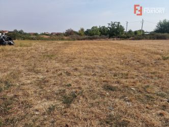 Teren intravilan de 669 mp in Mosnita Veche