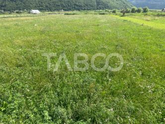 Teren intravilan de vanzare 3450 mp Boita 35 m deschidere langa A1
