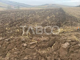 Teren  intravilan de vanzare 9300 mp cu acces la utilitati  Sura Mare 