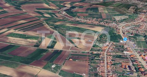  Teren intravilan de vanzare de vanzare in Sura Mare 1250 mp