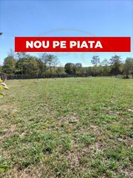 Teren intravilan de vânzare în Berevoiești, Argeș – 2542 mp -rau