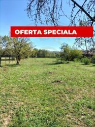 Teren intravilan de vânzare în Berevoiești, Argeș – 2542 mp -rau