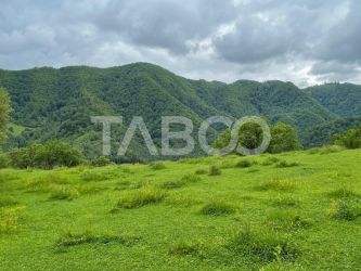 Teren intravilan de vanzare in Martinia de sus