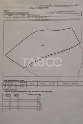 Teren intravilan de vanzare in Sasciori jud Alba