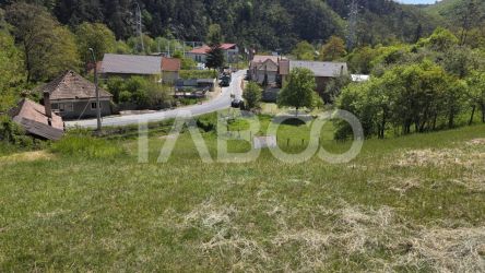 Teren intravilan de vanzare in Sasciori jud Alba