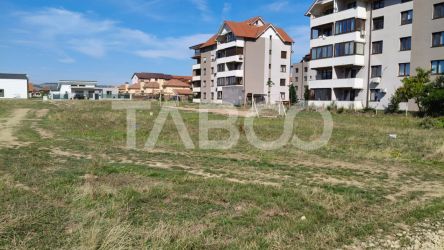 Teren intravilan de vanzare in Sebes Drumul Petrestiului