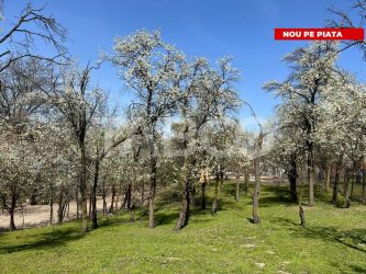 Teren intravilan imprejmuit 789mp UTILITATI URBANISM Poplaca