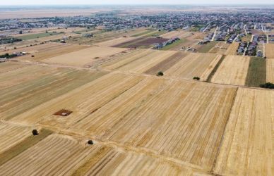 Teren Intravilan In Comuna Berceni | utilitati: gaze si curent | #EG28