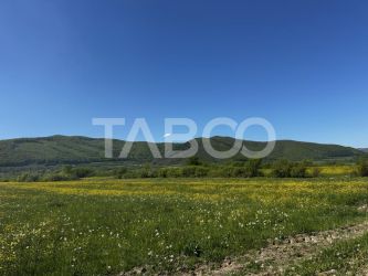 Teren intravilan in Poplaca cu vedere la munti pretabil cabana