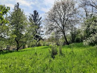 Teren intravilan in Provita de Sus-constructie intabulata-ideal pentru