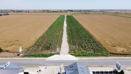 Teren Intravilan In Rate 3 ani Berceni | utilitati: curent si gaz | #M