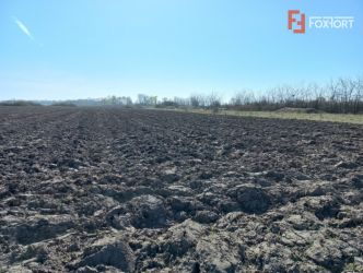 Teren intravilan – oportunitate investitie – Remetea Mare, langa B