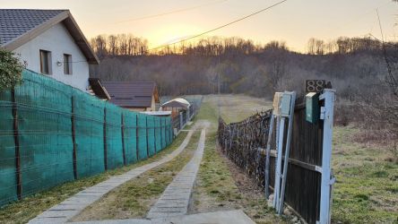 Teren intravilan pentru Casa de Vacanta -Mosoaia- Basangesti